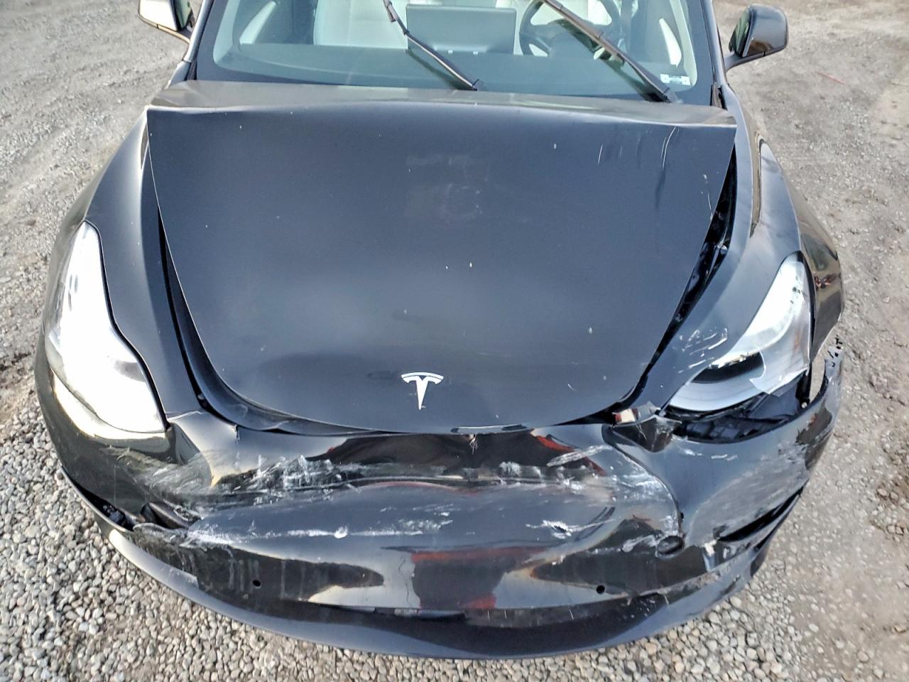 2022 Tesla Model 3 VIN: 5YJ3E1EB7NF338065 Lot: 94334225