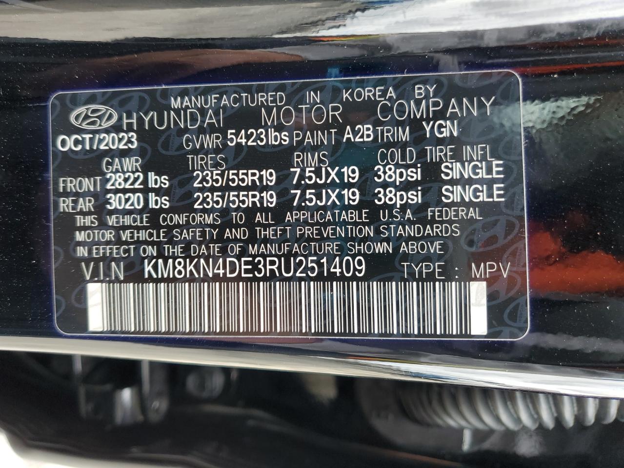 2024 Hyundai Ioniq 5 Sel VIN: KM8KN4DE3RU251409 Lot: 93709935