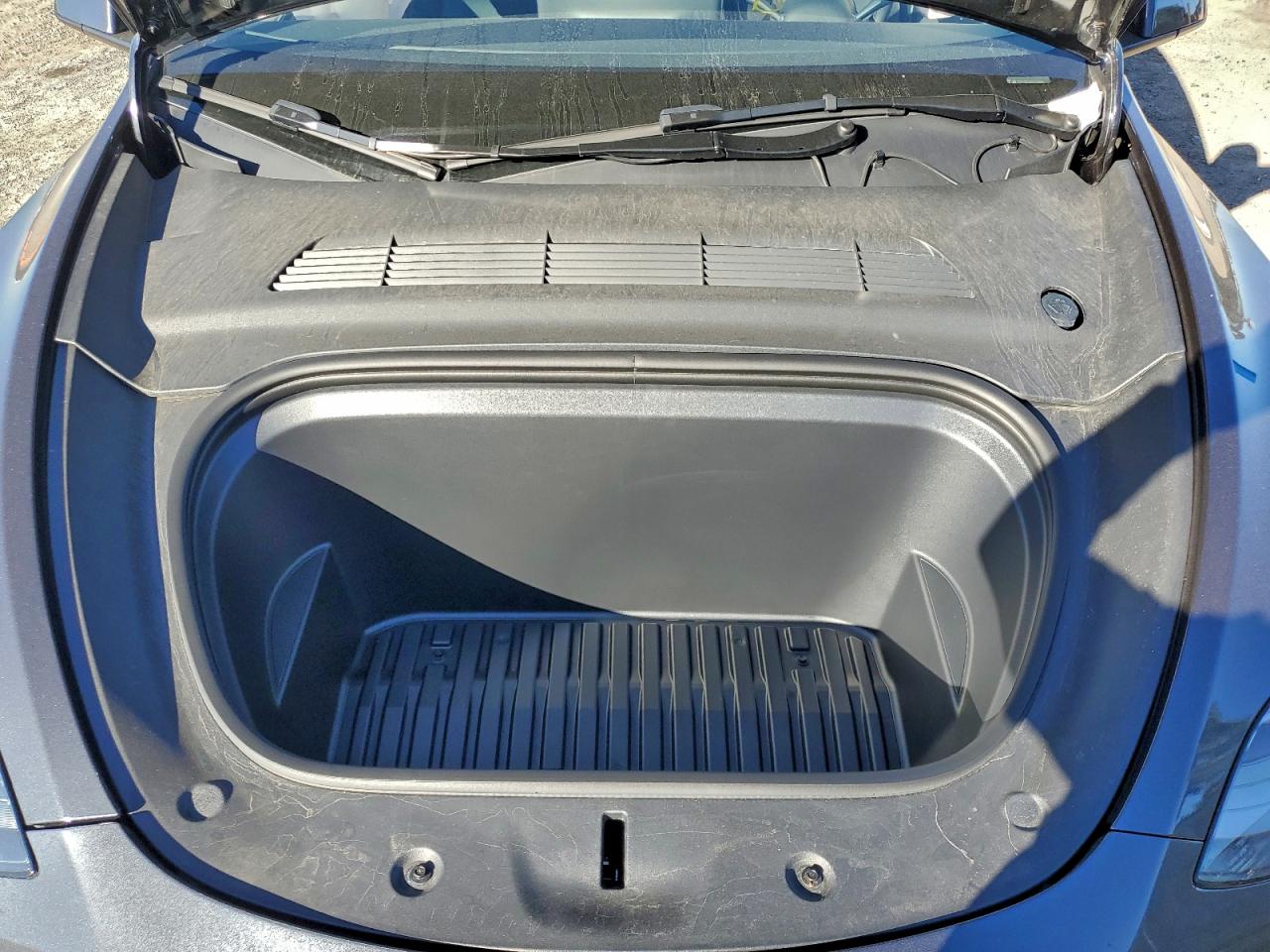 2025 Tesla Model Y VIN: 7SAYGDED1SF316063 Lot: 94386245