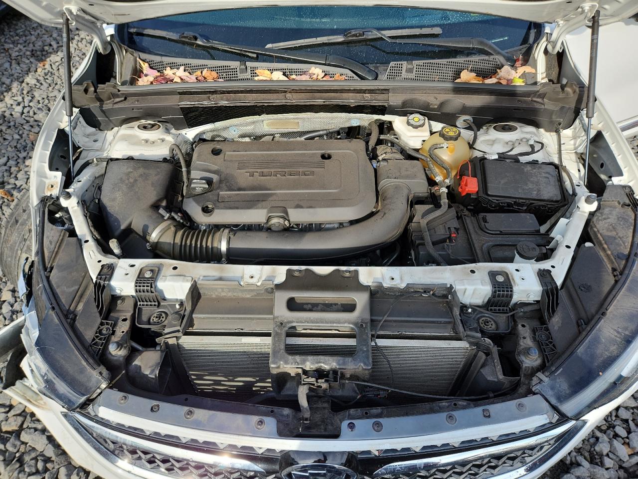 2022 Buick Envision Avenir VIN: LRBFZSR49ND019288 Lot: 90867045