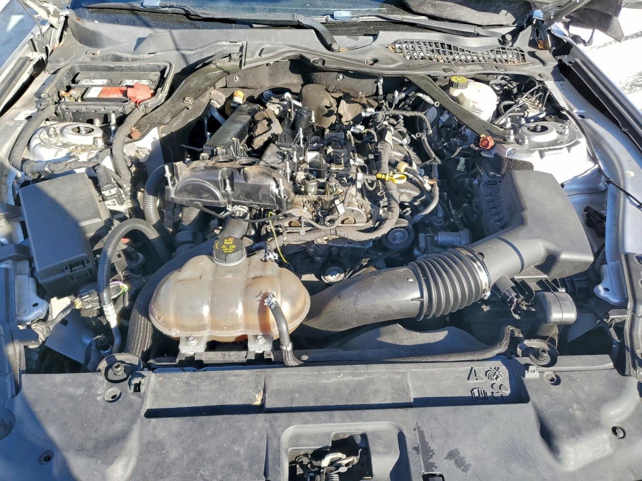 2018 Ford Mustang VIN: 1FATP8UH9J5155535 Lot: 93879945