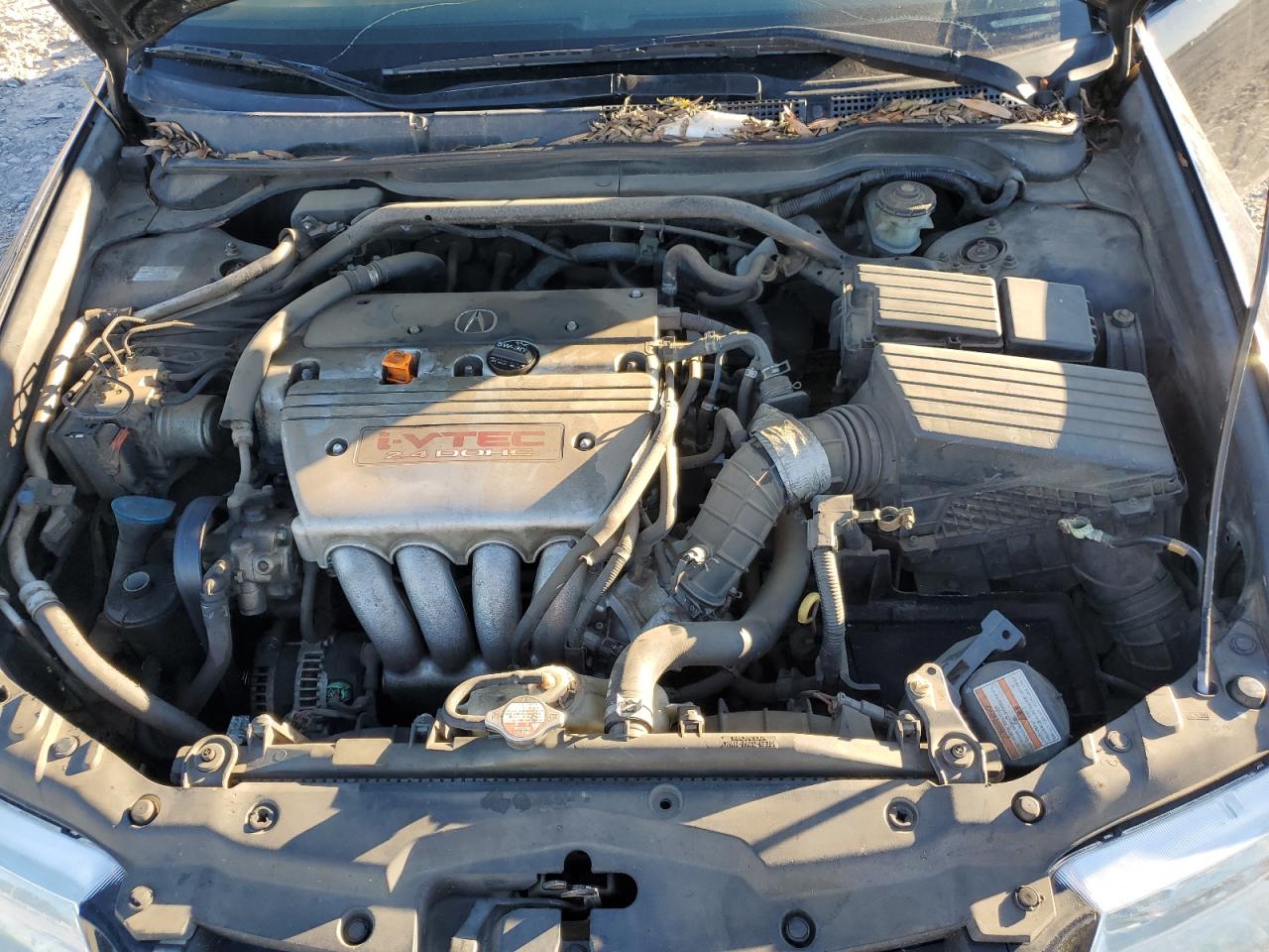 2004 Acura Tsx VIN: JH4CL96804C032861 Lot: 92103435