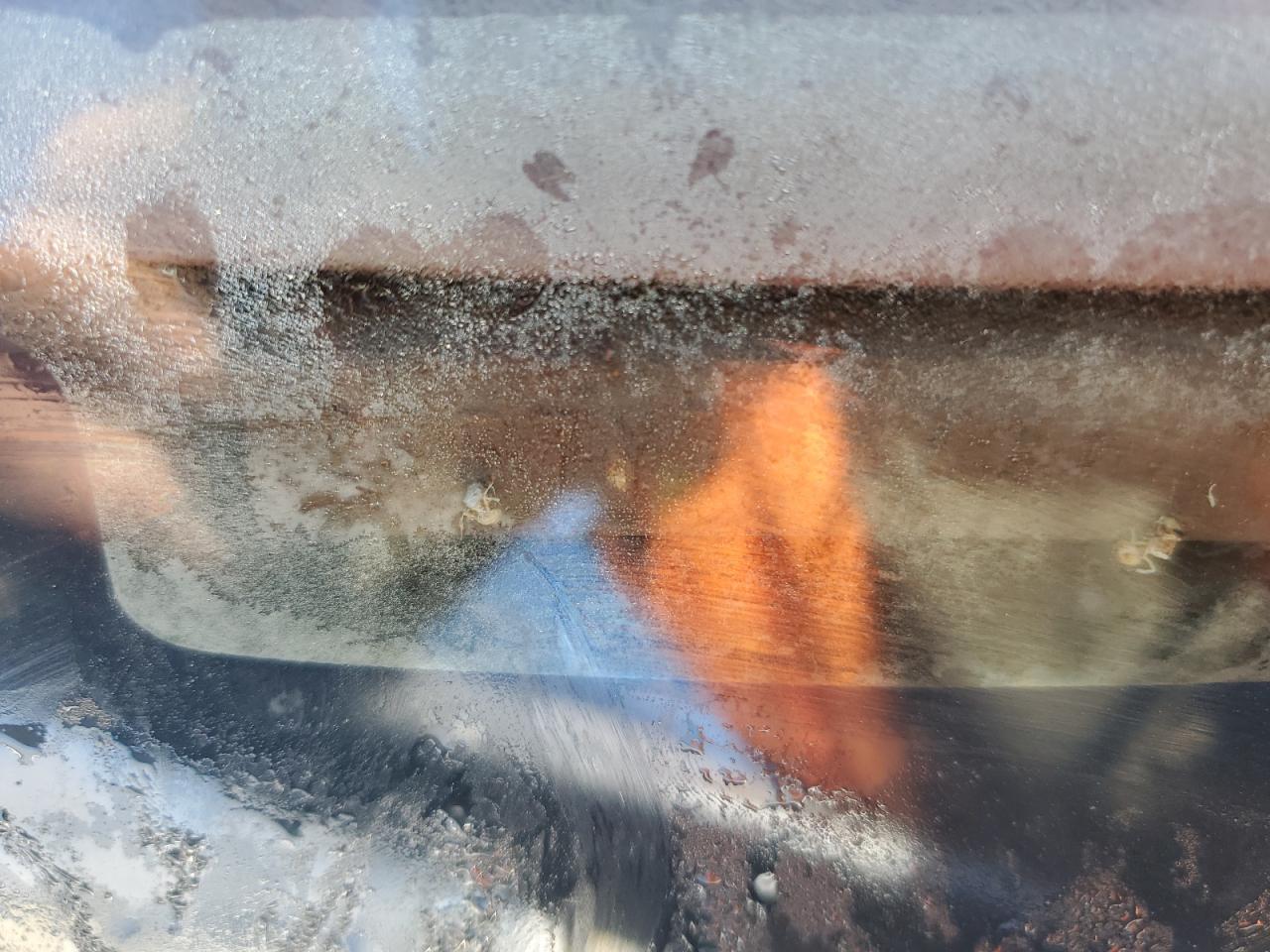 1977 Pontiac Gprix Gt VIN: 2K57Y7A229097 Lot: 91451895