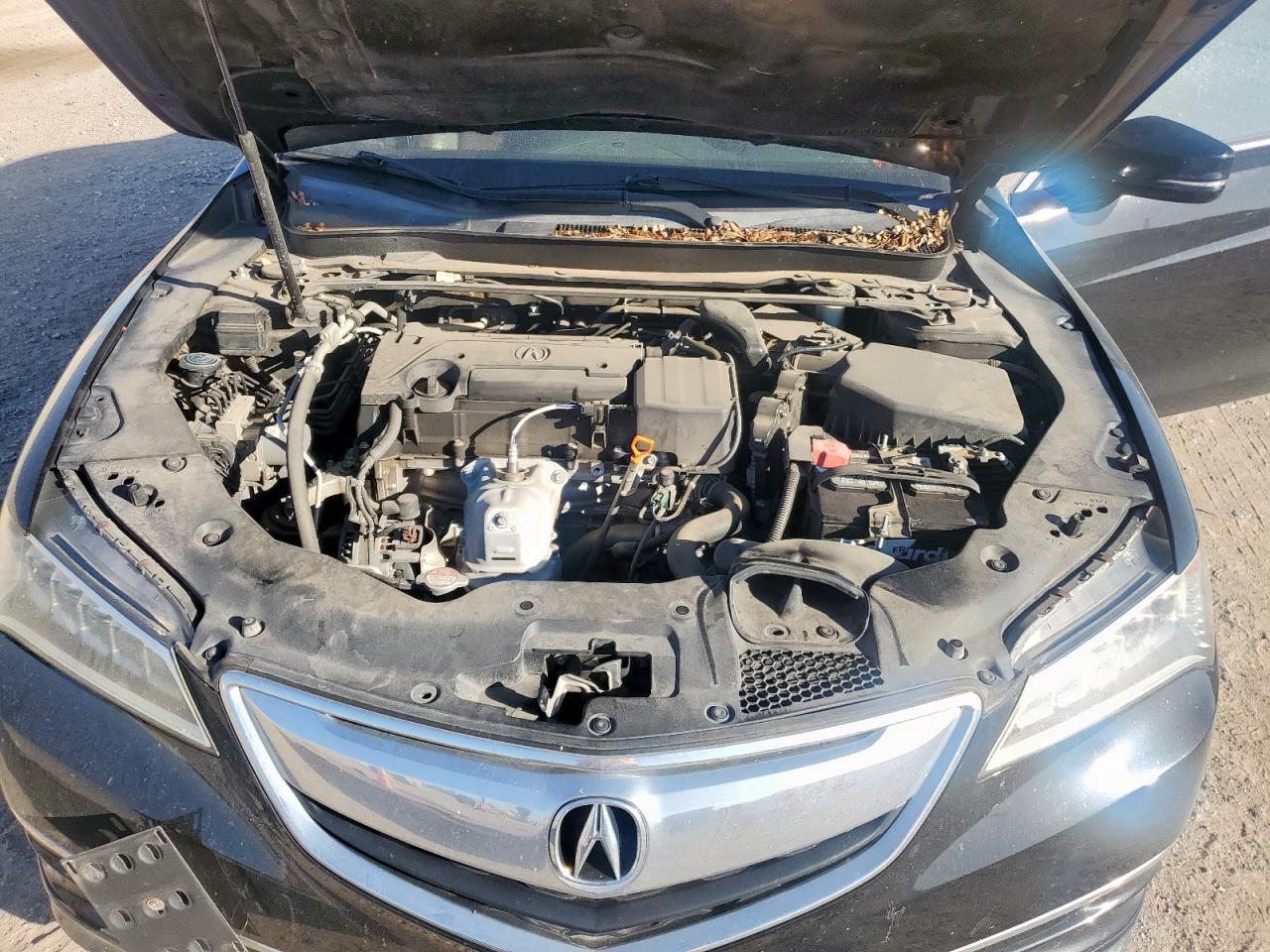 2016 Acura Tlx VIN: 19UUB1F37GA014258 Lot: 92380015
