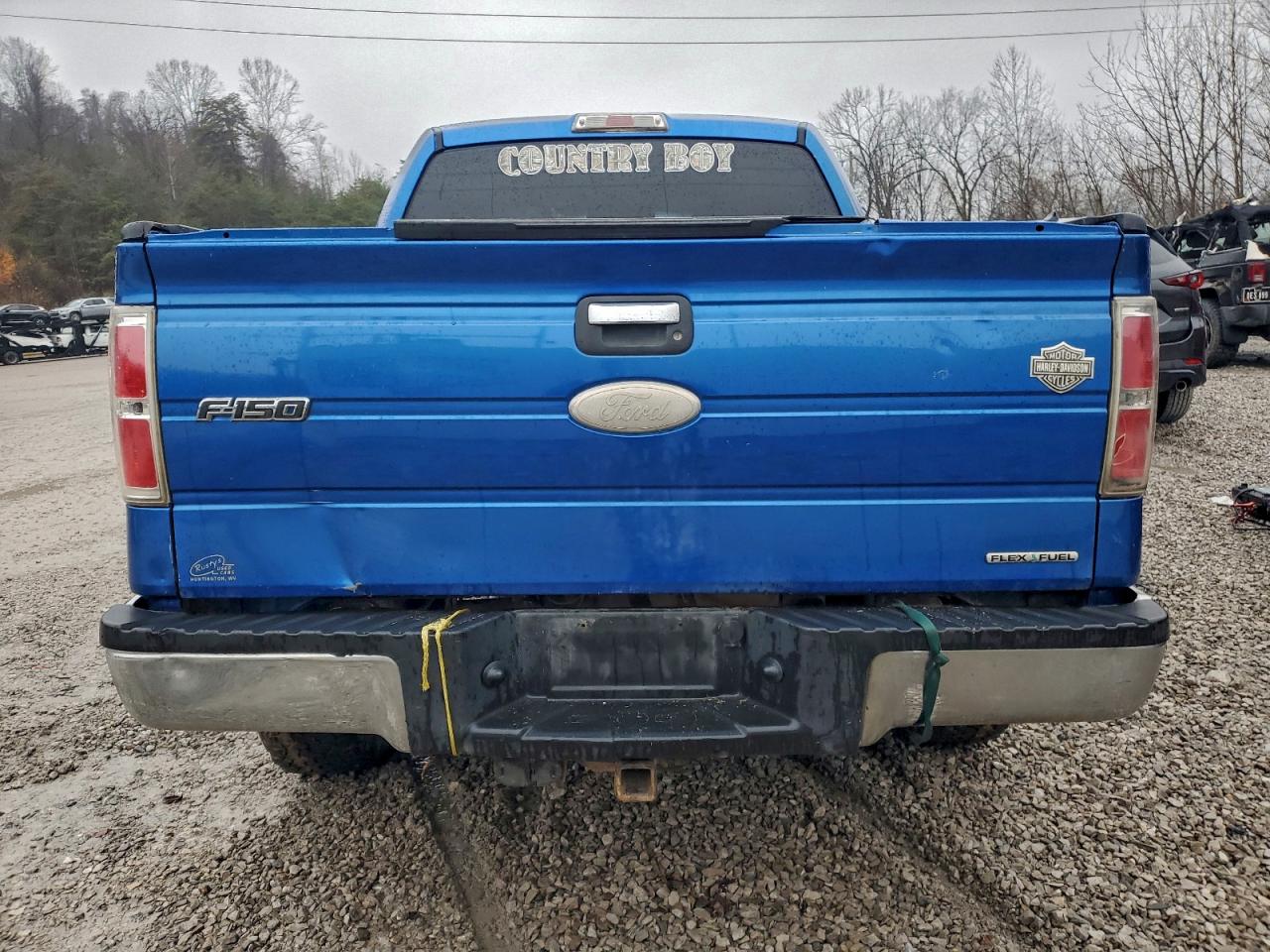 2011 Ford F150 Supercrew VIN: 1FTFW1EF5BFC47302 Lot: 93513685