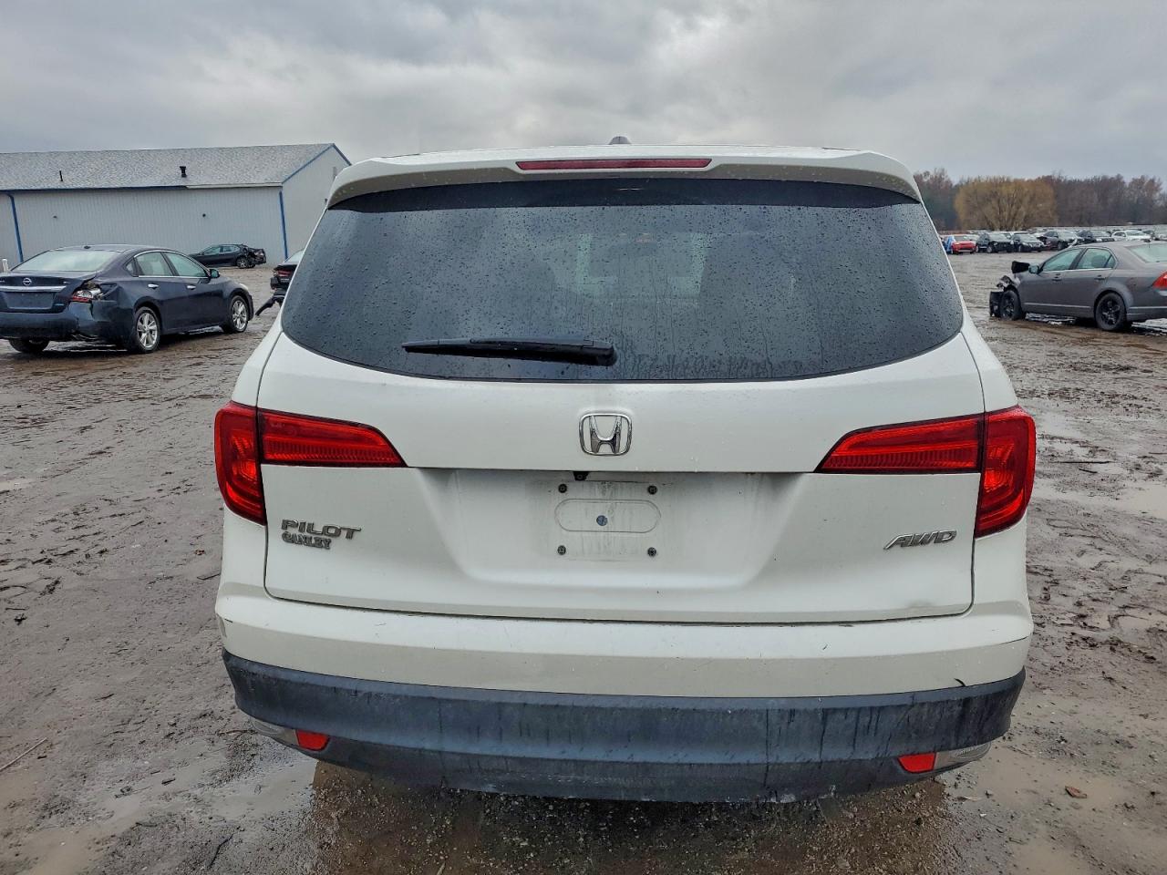 2017 Honda Pilot Exl VIN: 5FNYF6H57HB045552 Lot: 94629065