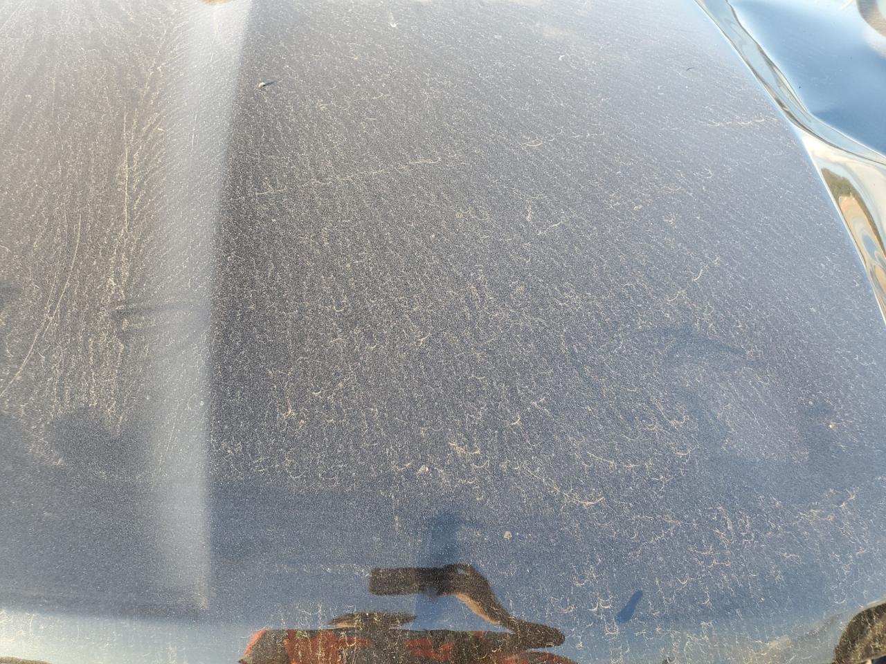 2009 Dodge Ram 1500 VIN: 1D3HB13T09S721095 Lot: 92312105