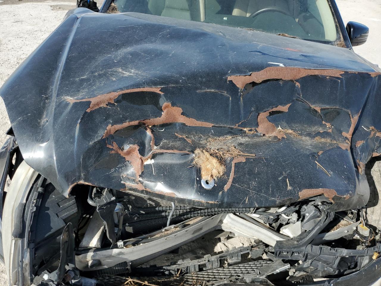 2013 Mercedes-Benz C 250 VIN: WDDGF4HB0DR272629 Lot: 92302925