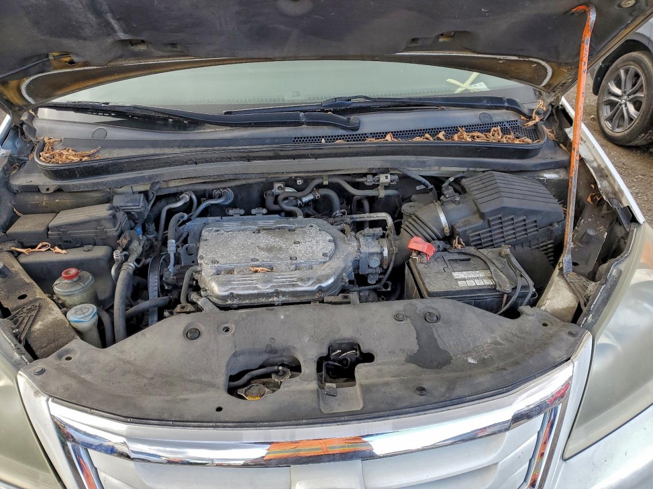 2008 Honda Odyssey Exl VIN: 5FNRL38608B500889 Lot: 86843445