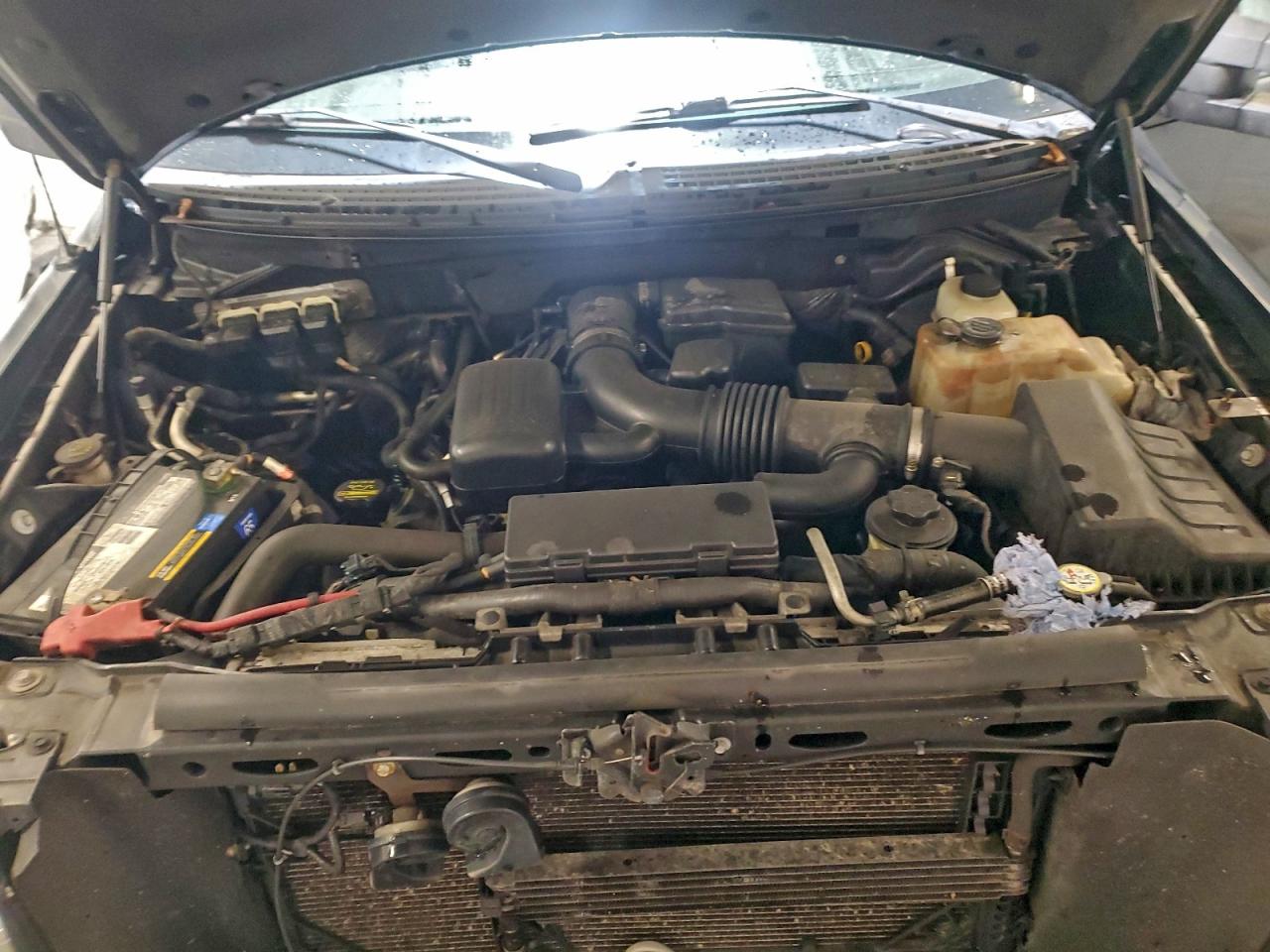 2010 Ford F150 Supercrew VIN: 1FTFW1EV1AFA31288 Lot: 93970835