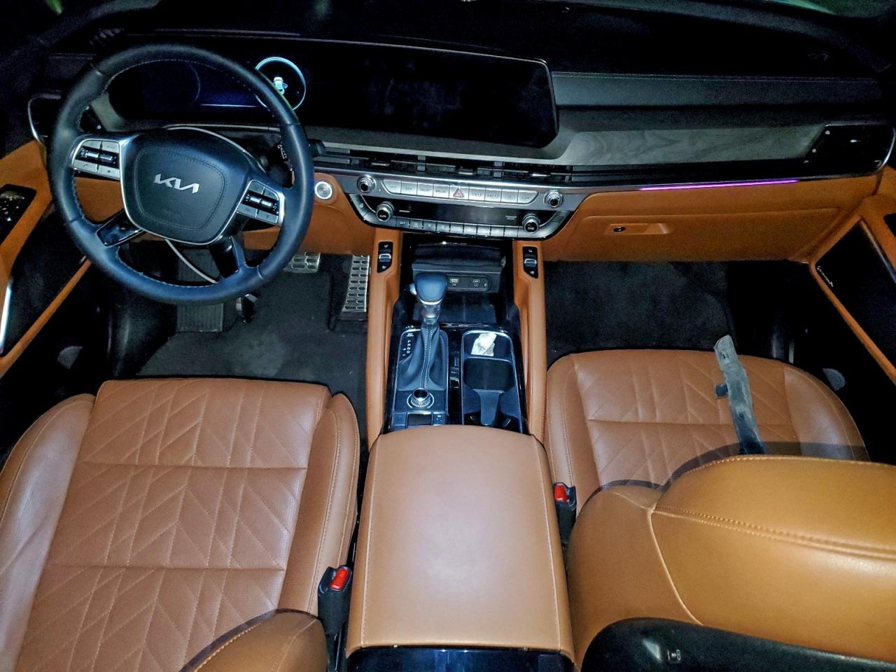 2024 Kia Telluride Sx VIN: 5XYP5DGC6RG499031 Lot: 95015195