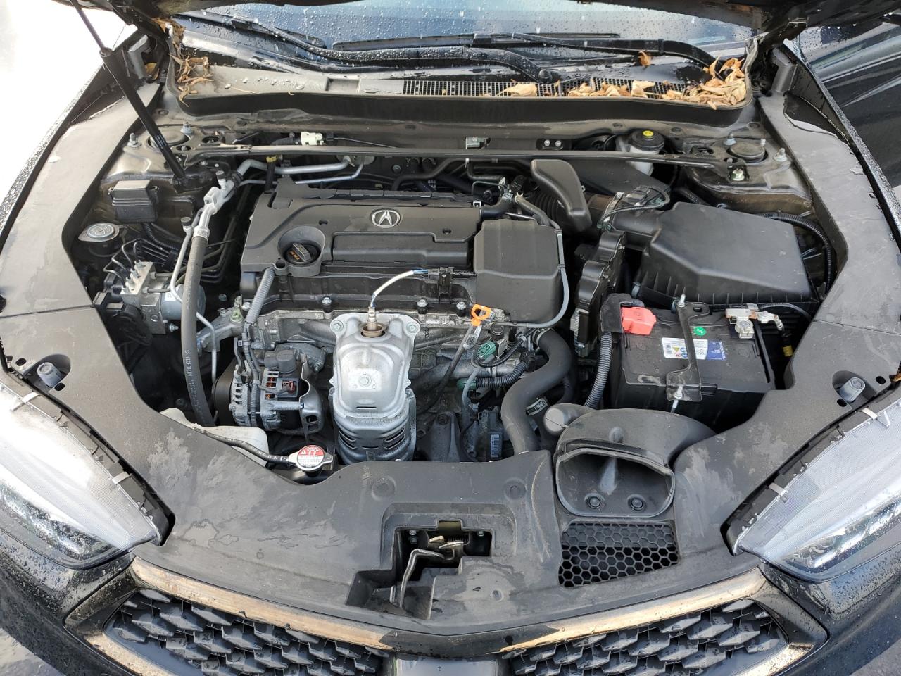 2020 Acura Tlx Technology VIN: 19UUB1F64LA012102 Lot: 82730415