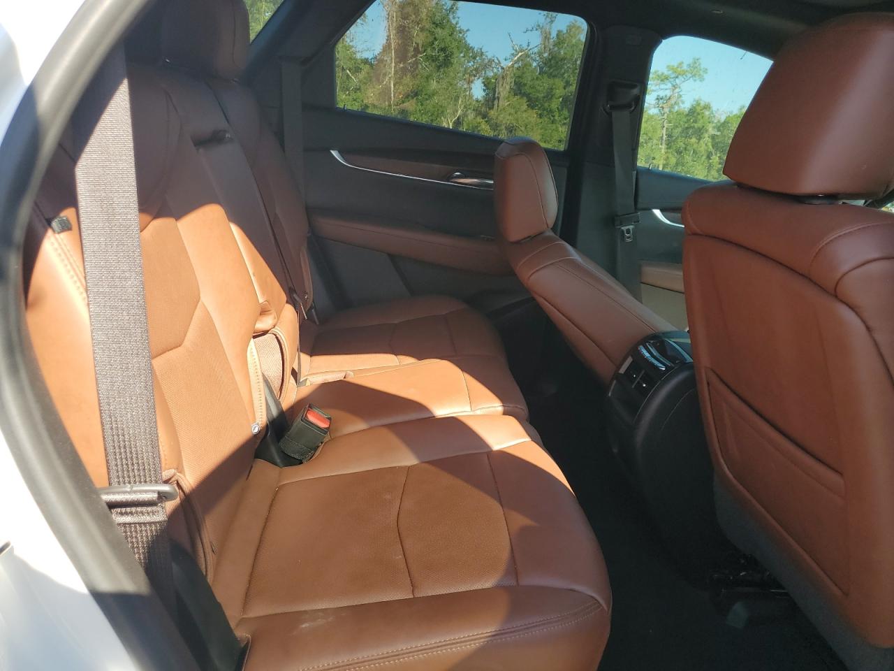 2021 Cadillac Xt5 Premium Luxury VIN: 1GYKNCRS5MZ146566 Lot: 97286285