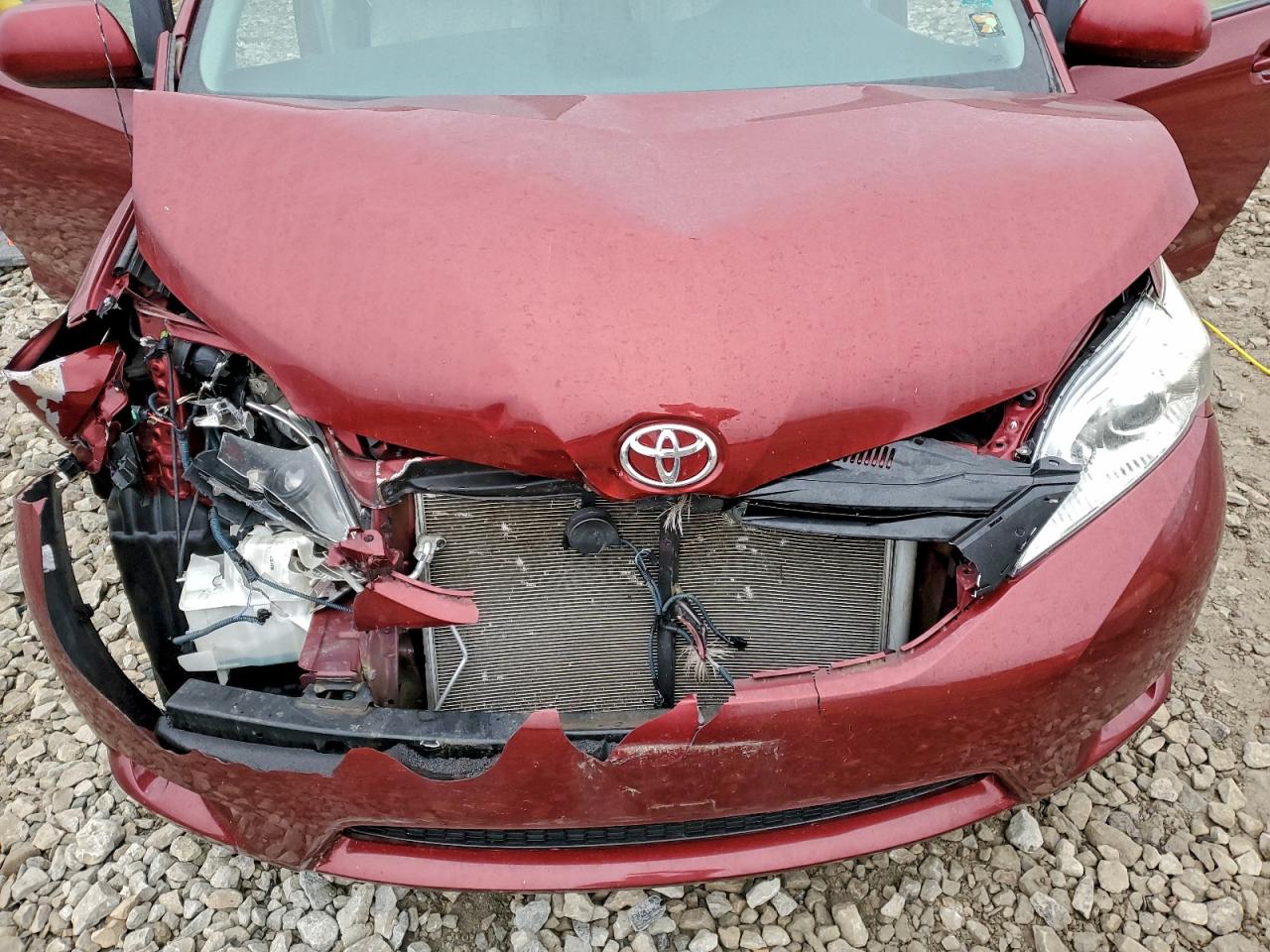 2013 Toyota Sienna Le VIN: 5TDKK3DC7DS401301 Lot: 94096955