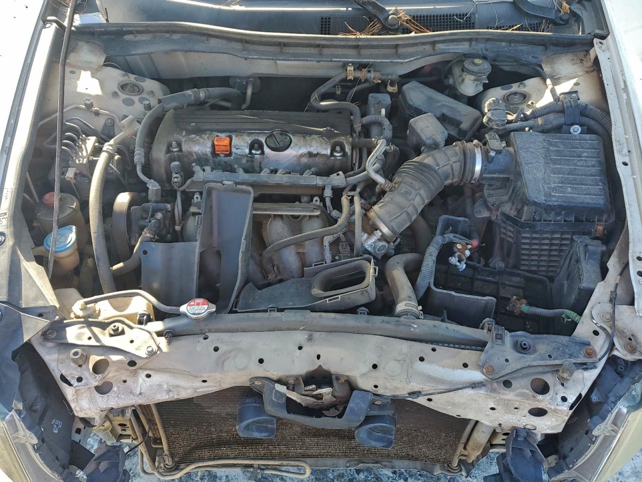 2009 Honda Accord Lxp VIN: 1HGCP26439A063066 Lot: 94210205