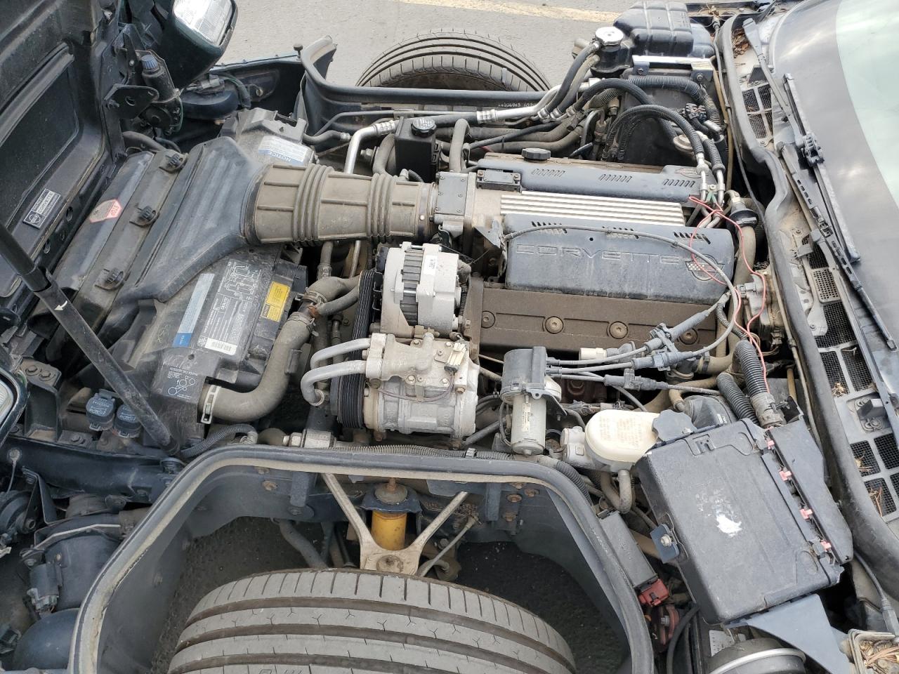 1993 Chevrolet Corvette VIN: 1G1YY23P9P5100135 Lot: 93556655