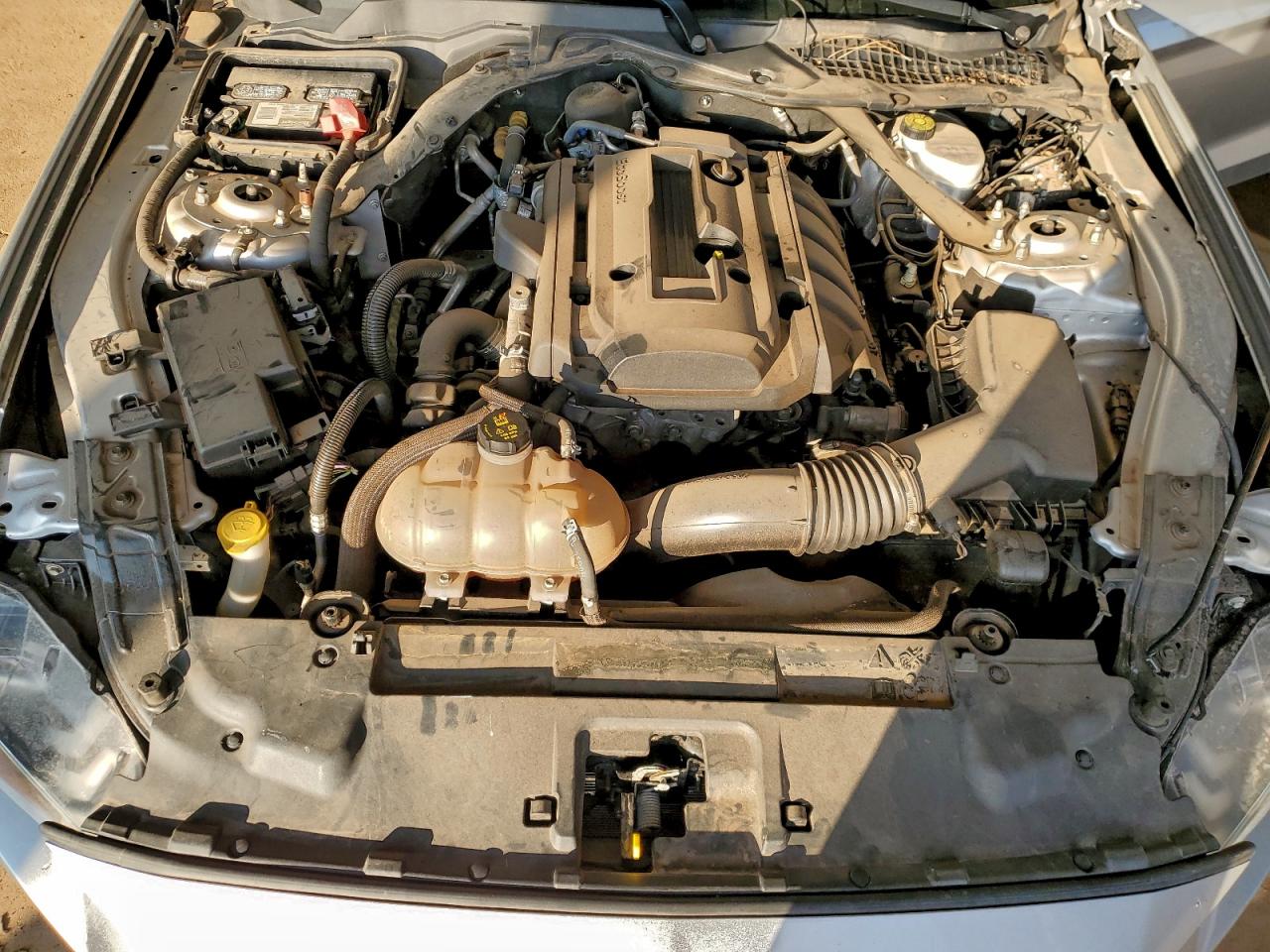 2019 Ford Mustang VIN: 1FATP8UH0K5158342 Lot: 93935635