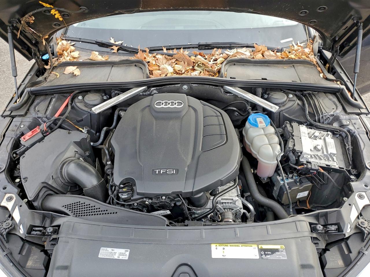 2017 Audi A4 Premium Plus VIN: WAUENAF4XHN065876 Lot: 81039975