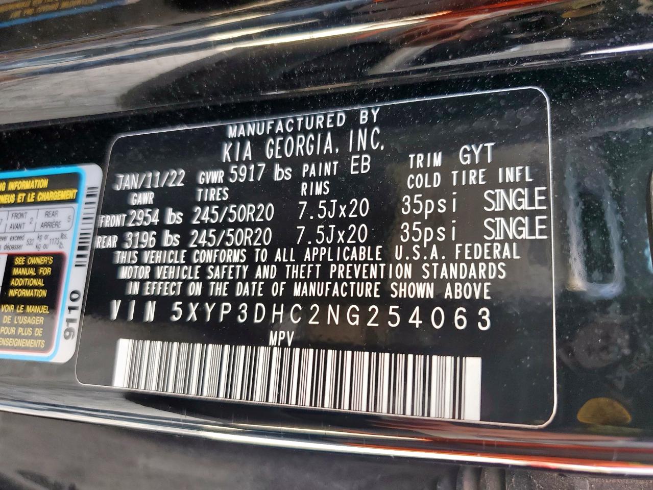 2022 Kia Telluride Ex VIN: 5XYP3DHC2NG254063 Lot: 92321565