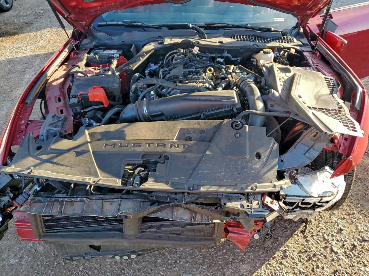 2024 Ford Mustang VIN: 1FA6P8TH2R5143883 Lot: 94542555