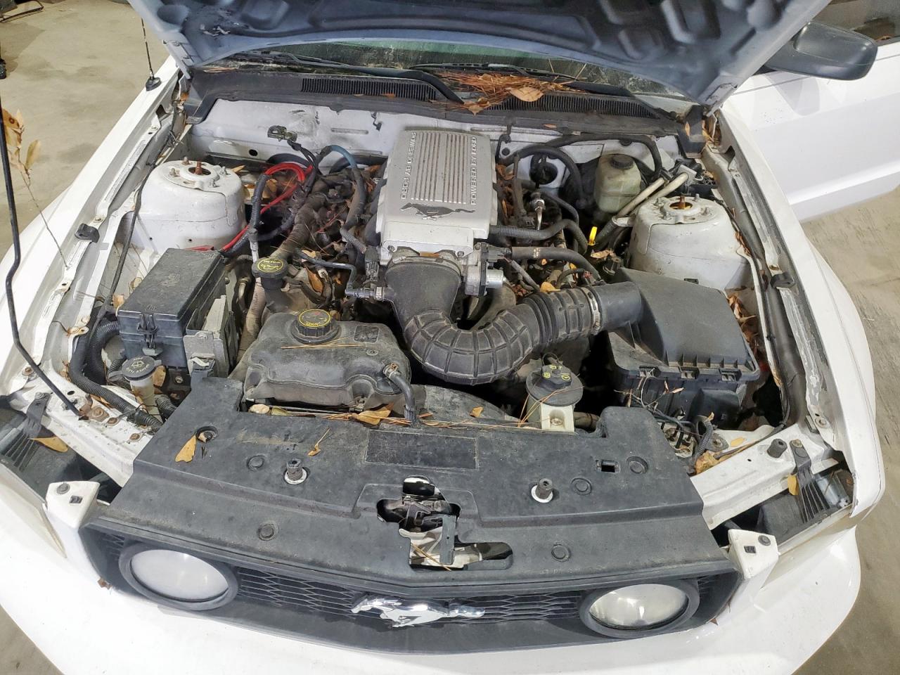 2007 Ford Mustang Gt VIN: 1ZVHT85H175221706 Lot: 93184365