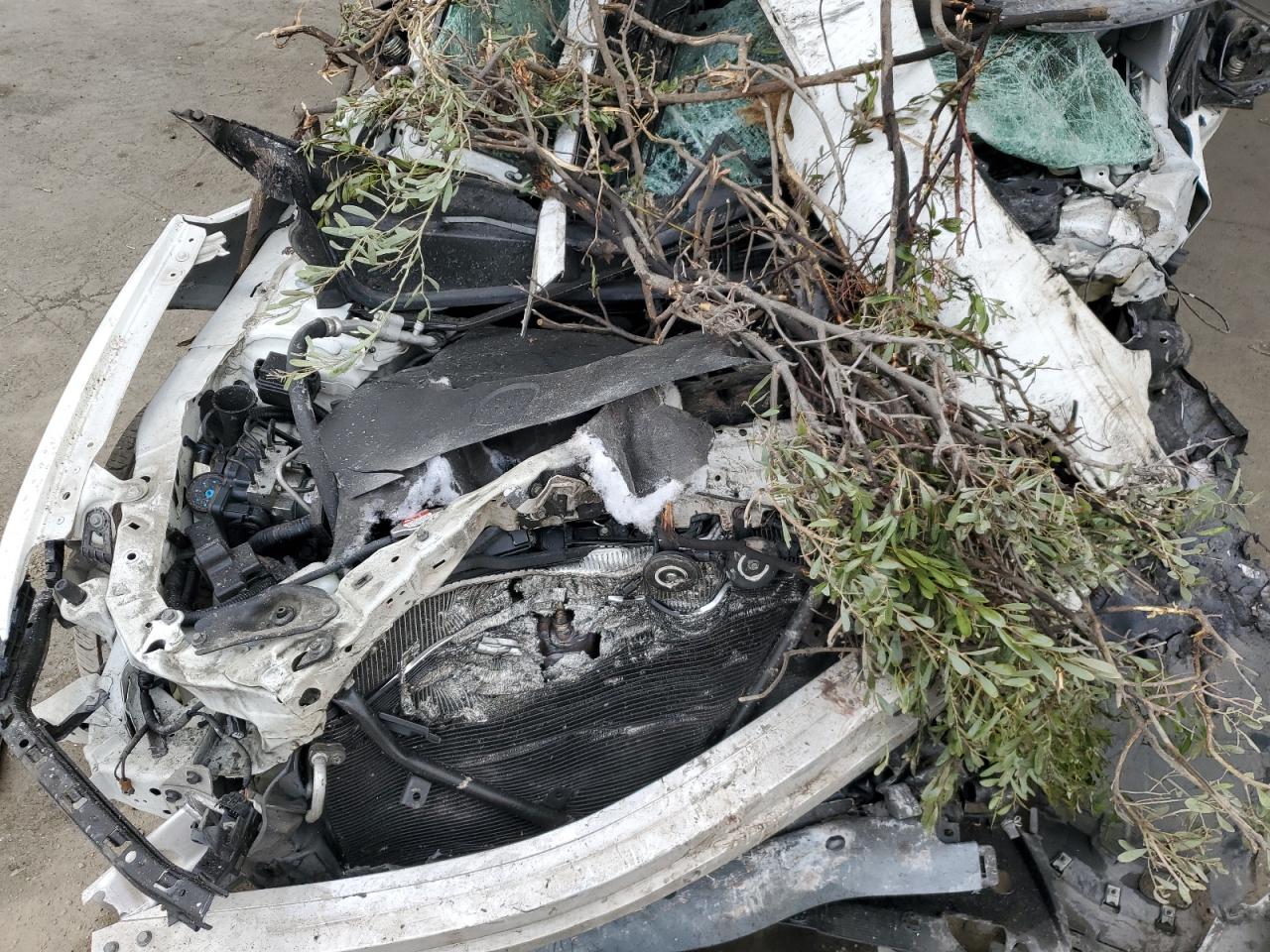 2017 Acura Tlx VIN: 19UUB2F37HA006250 Lot: 91694965