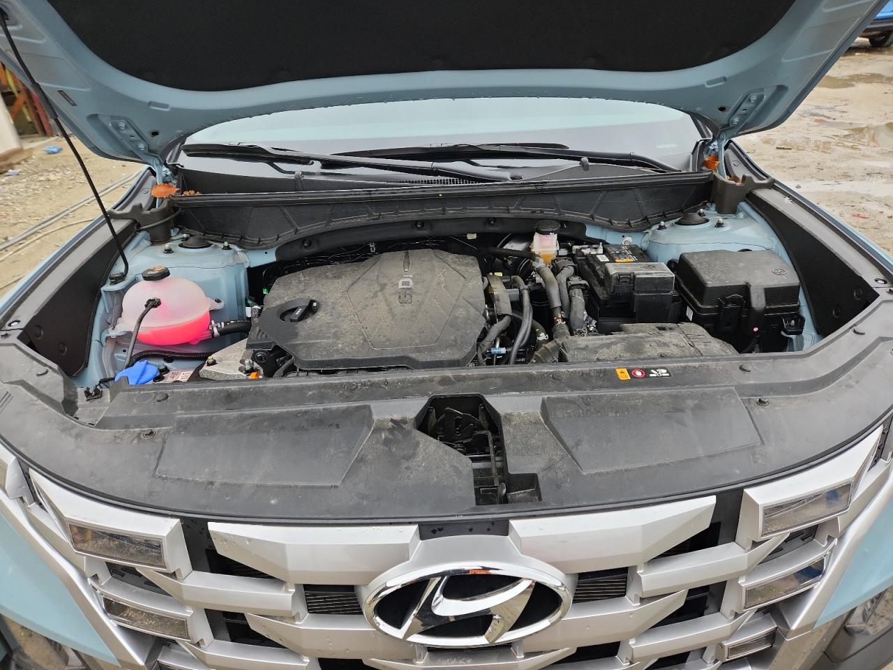 2024 Hyundai Santa Cruz Sel VIN: 5NTJCDDEXRH118485 Lot: 93483945