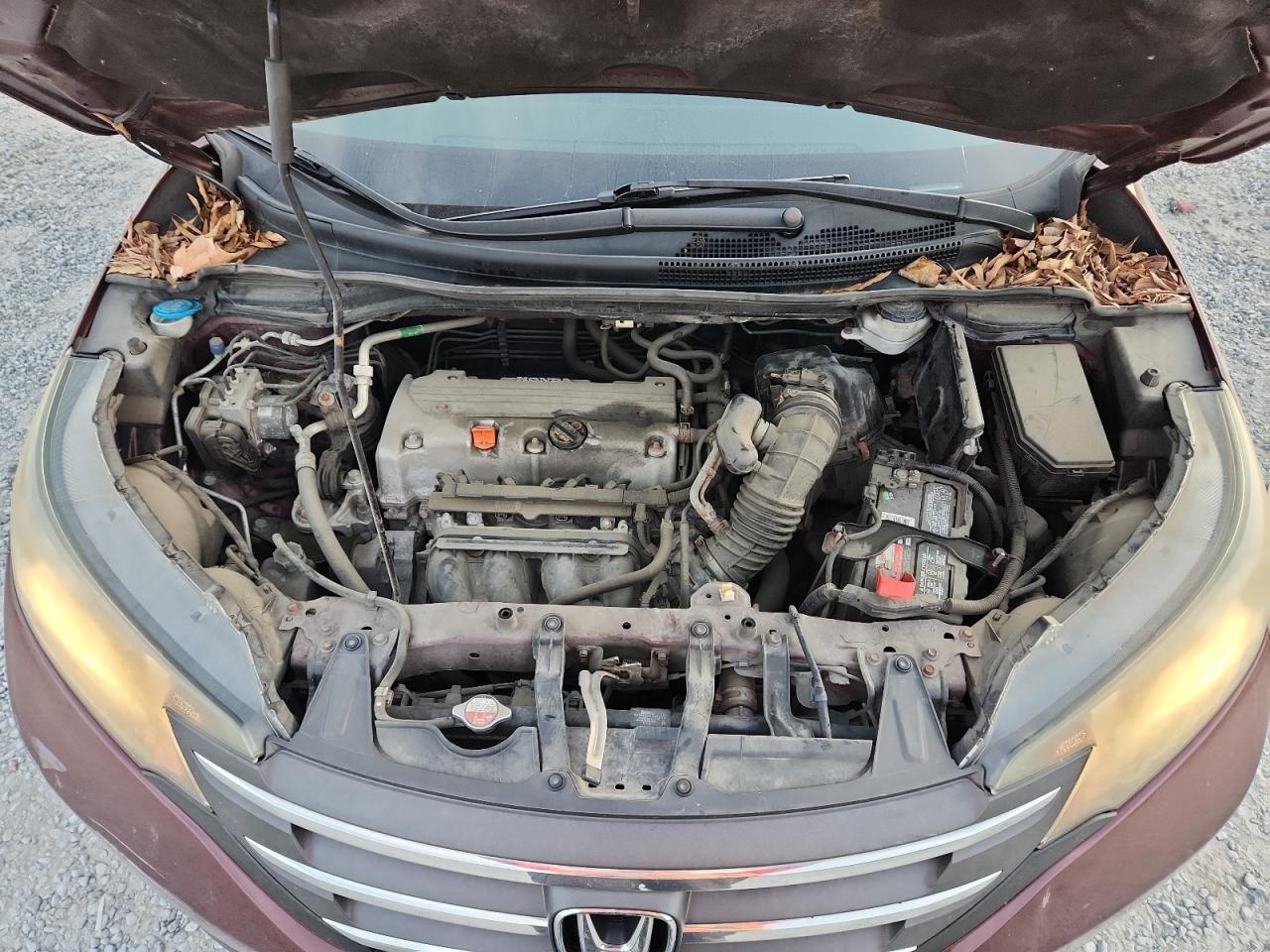 2014 Honda Cr-V Lx VIN: 5J6RM3H32EL024909 Lot: 93327895