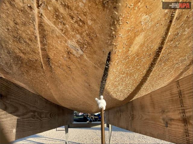 2022 OTHER BOATS SS 192RL(*  