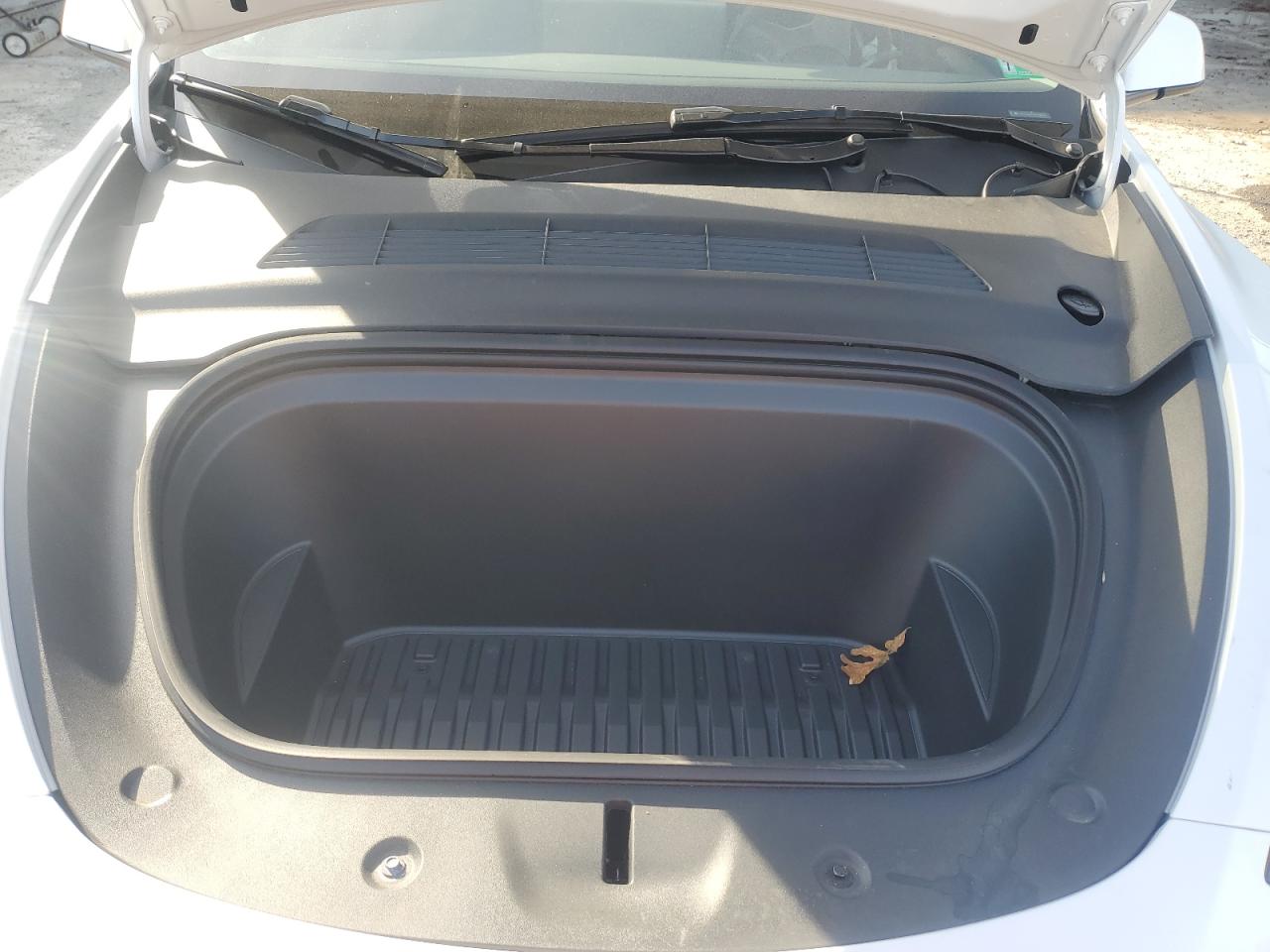 2024 Tesla Model Y VIN: 7SAYGDEE9RA288531 Lot: 91821805