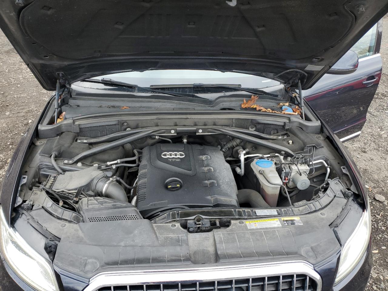 2014 Audi Q5 Premium Plus VIN: WA1LFAFP2EA118309 Lot: 92663755