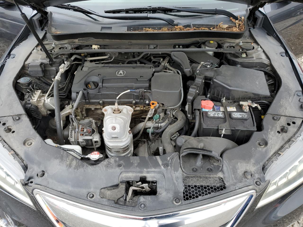 2016 Acura Tlx Tech VIN: 19UUB1F54GA001372 Lot: 82516425
