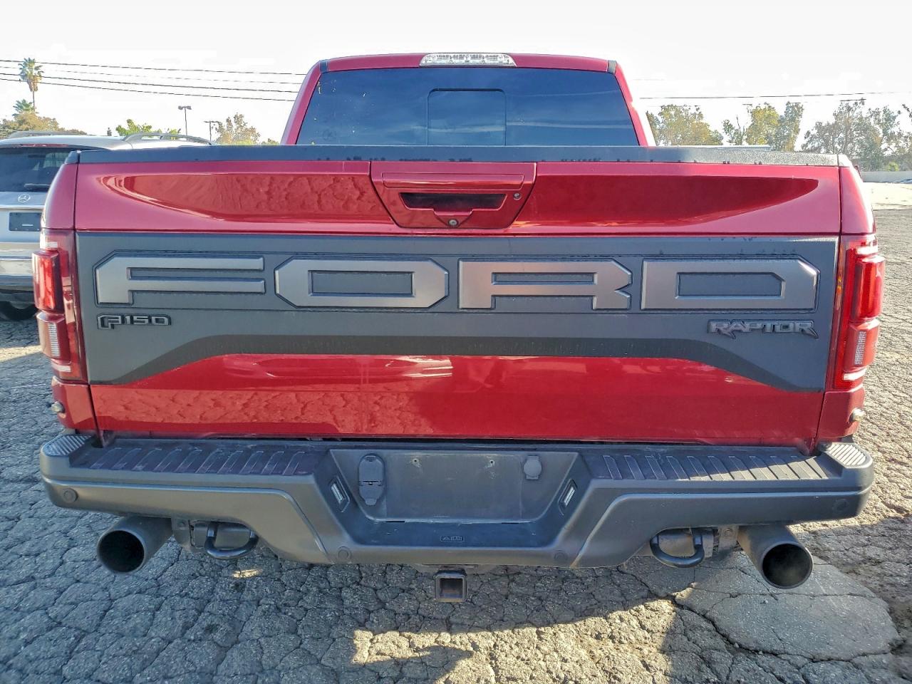 2019 Ford F150 Raptor VIN: 1FTFW1RG0KFC05090 Lot: 93973915