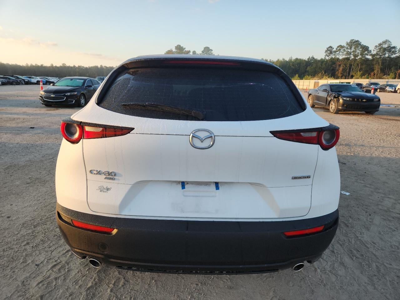 2025 Mazda Cx-30 VIN: 3MVDMBAM8SM834390 Lot: 91683635