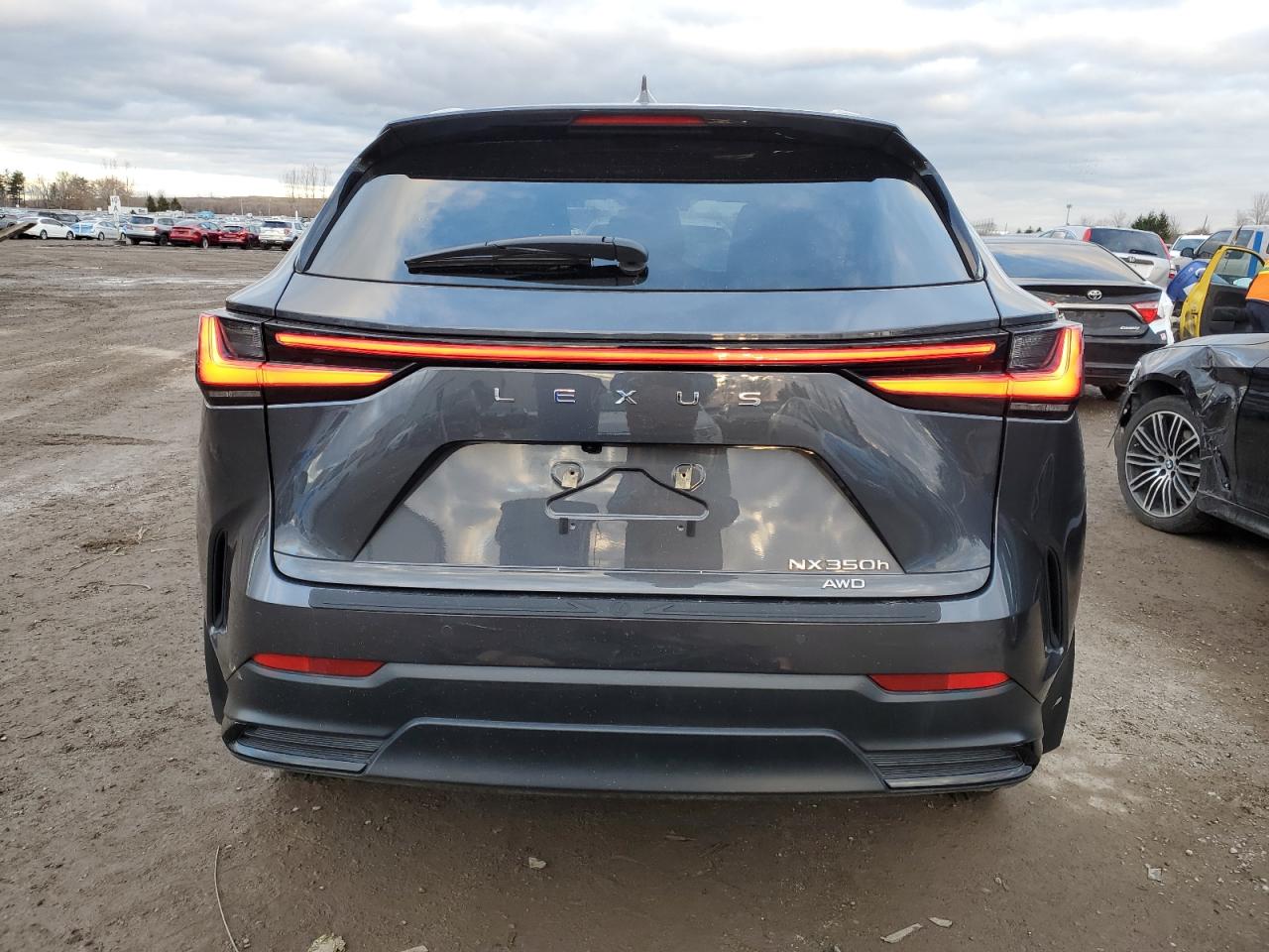 2025 Lexus Nx 350H Base VIN: 2T2GKCEZ7SC046690 Lot: 93006595