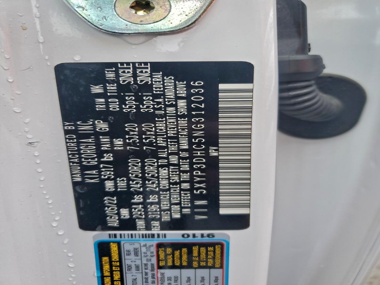 2022 Kia Telluride Ex VIN: 5XYP3DHC5NG312036 Lot: 93253265