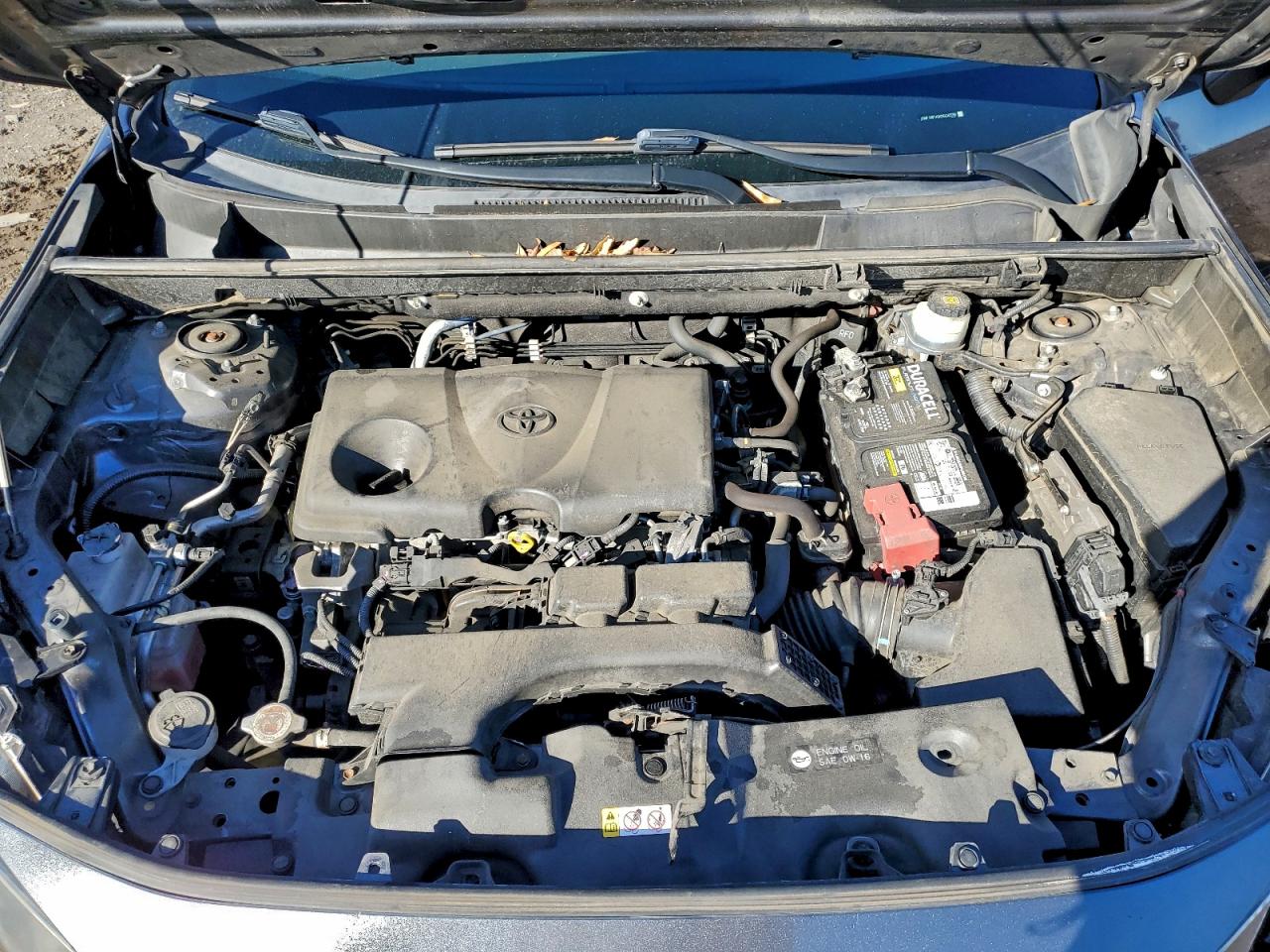 2019 Toyota Rav4 Le VIN: JTMF1RFV0KD504378 Lot: 93947945