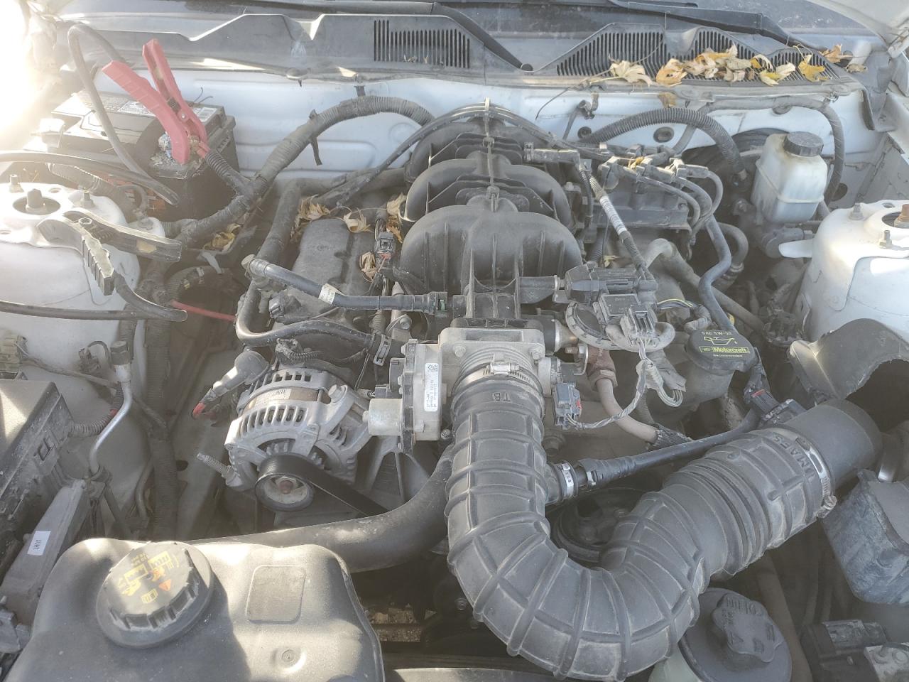 2010 Ford Mustang VIN: 1ZVBP8AN4A5138820 Lot: 92034145