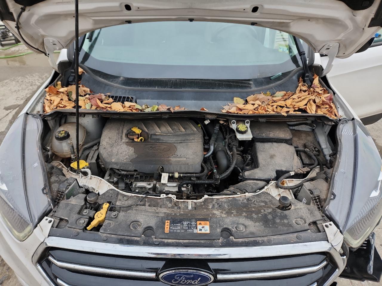 2017 Ford Escape Se VIN: 1FMCU9GD0HUB53055 Lot: 91229795