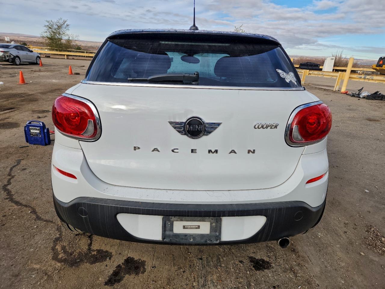 2013 Mini Cooper Paceman VIN: WMWSS1C51DWN93920 Lot: 93327635