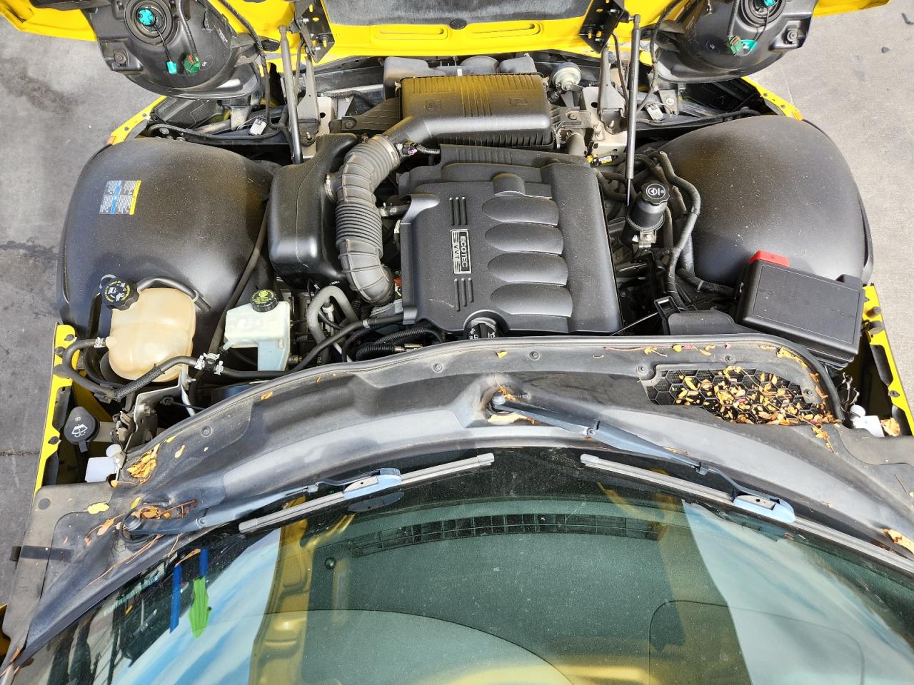 2007 Pontiac Solstice VIN: 1G2MB35B37Y141104 Lot: 91856895