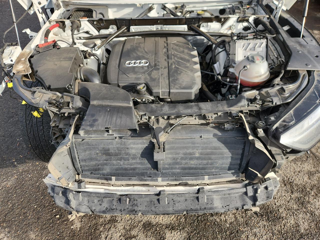 2022 Audi Q5 Premium Plus 45 VIN: WA1EAAFY0N2080282 Lot: 91966825