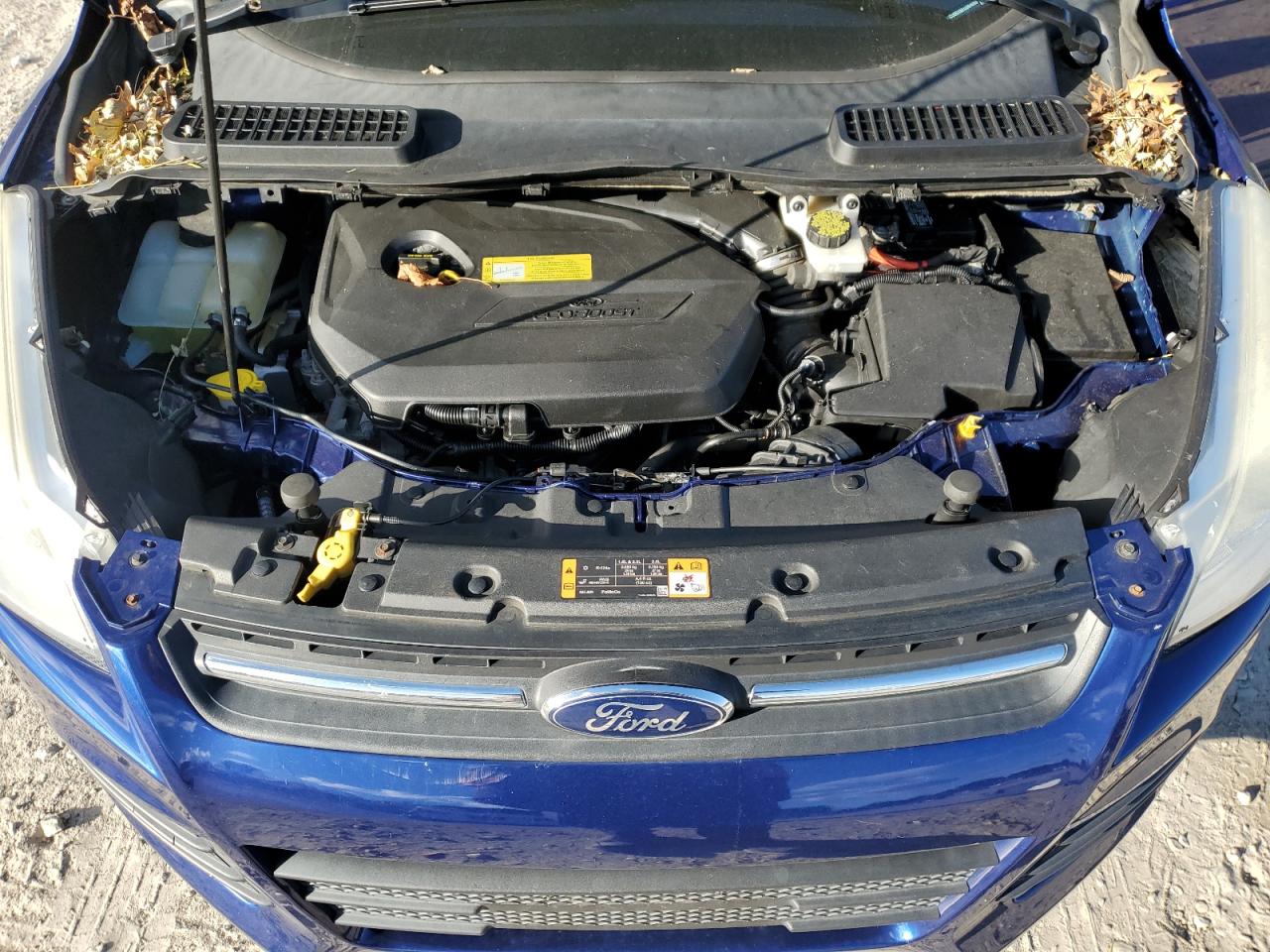 2014 Ford Escape Se VIN: 1FMCU0GX6EUD04093 Lot: 93028735