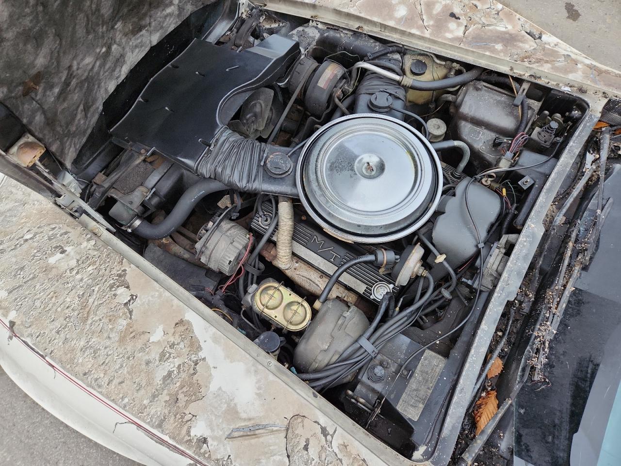 1979 Chevrolet Corvette VIN: 1Z8789S433953 Lot: 91387575