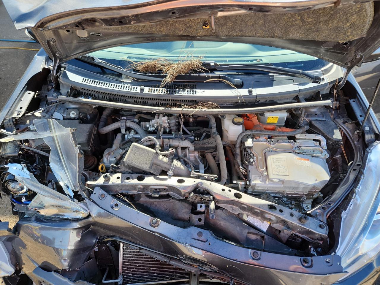 2015 Toyota Prius C VIN: JTDKDTB3XF1098768 Lot: 92311495