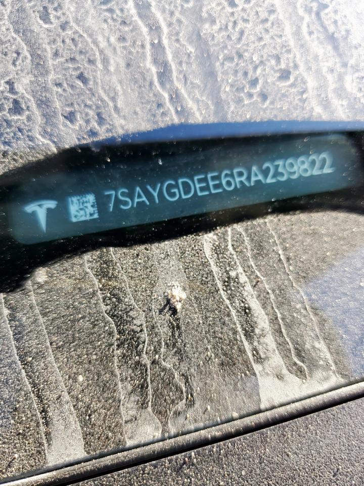 2024 Tesla Model Y VIN: 7SAYGDEE6RA239822 Lot: 92616955