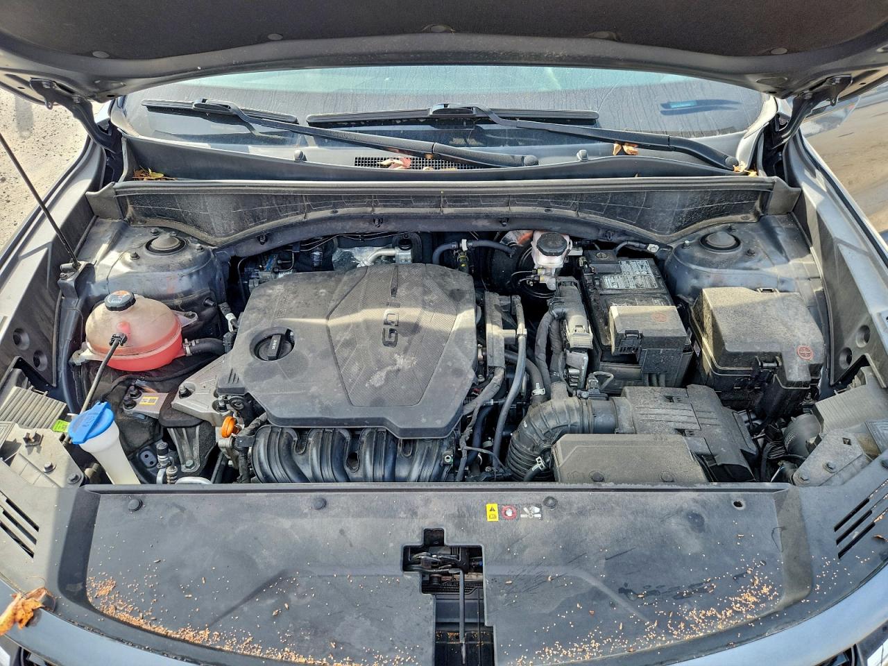 2022 Kia Sorento S VIN: 5XYRL4LC7NG135022 Lot: 93923185