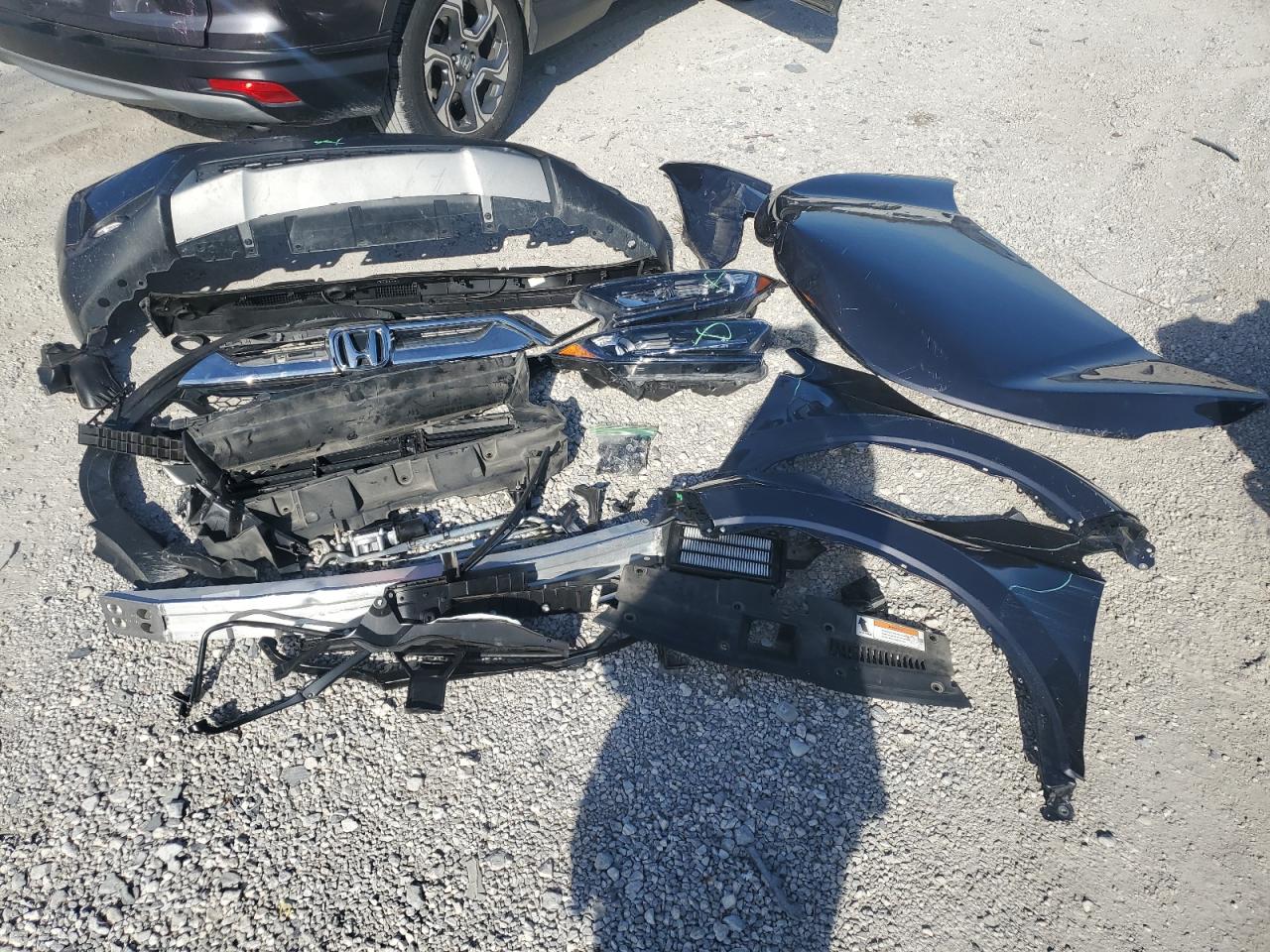 2019 Honda Cr-V Exl VIN: 5J6RW1H83KA030235 Lot: 91397585