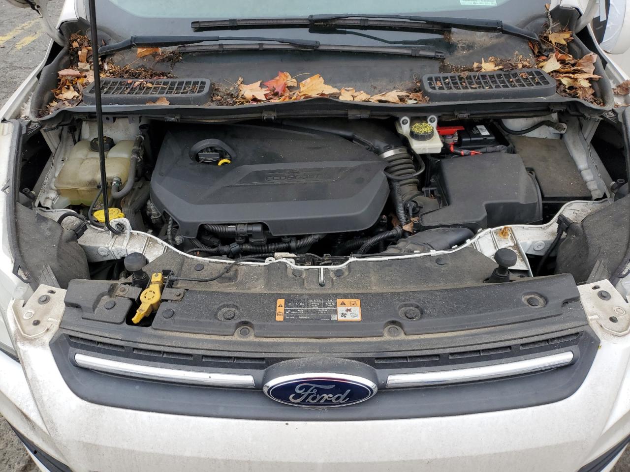 2014 Ford Escape Se VIN: 1FMCU0GX7EUA75116 Lot: 91356625