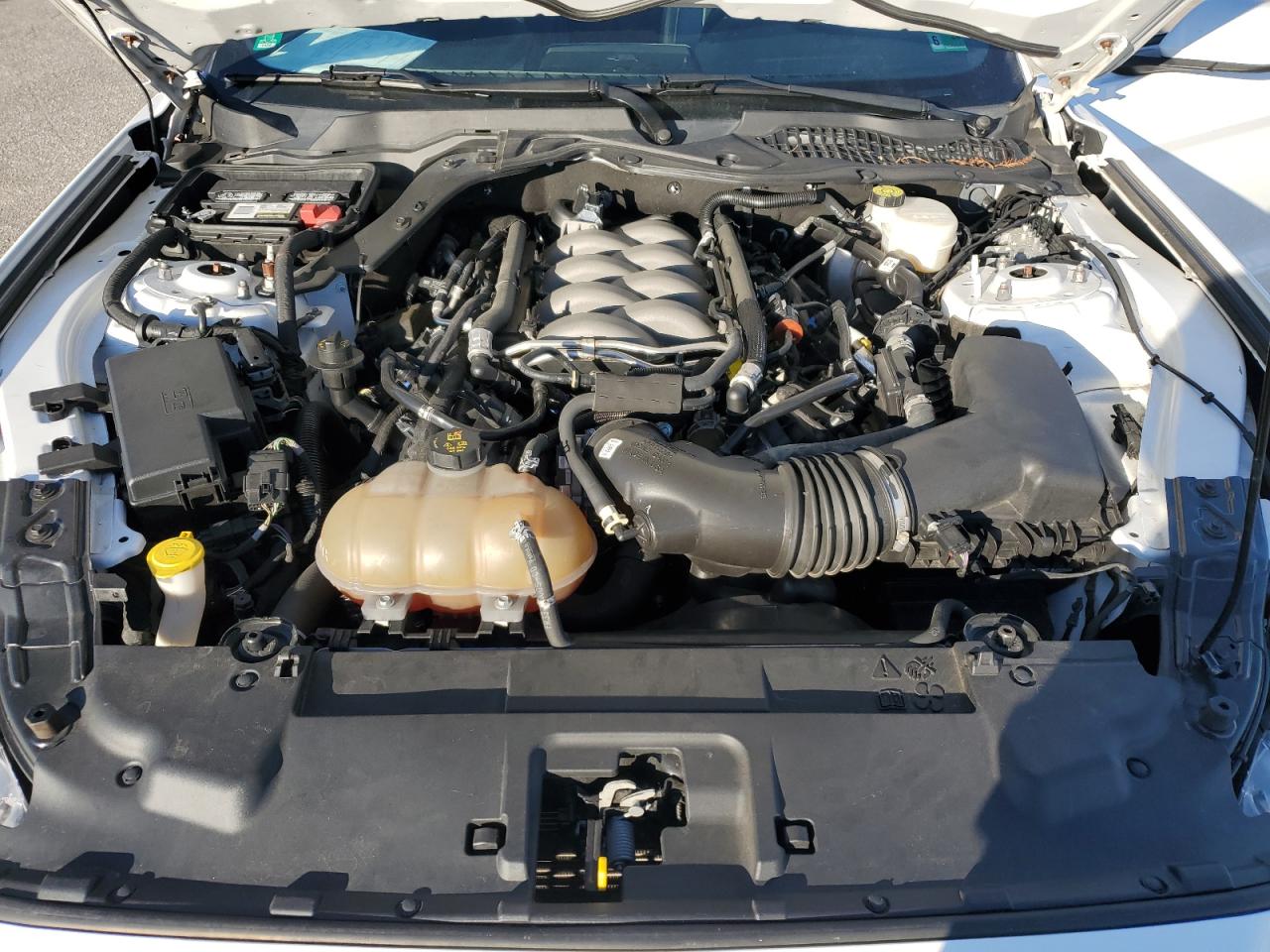 2019 Ford Mustang Gt VIN: 1FA6P8CF5K5199725 Lot: 91488525